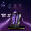 喜貝 Hebat 10000 puffs 拋棄式 一次性電子煙 台灣電子煙推薦